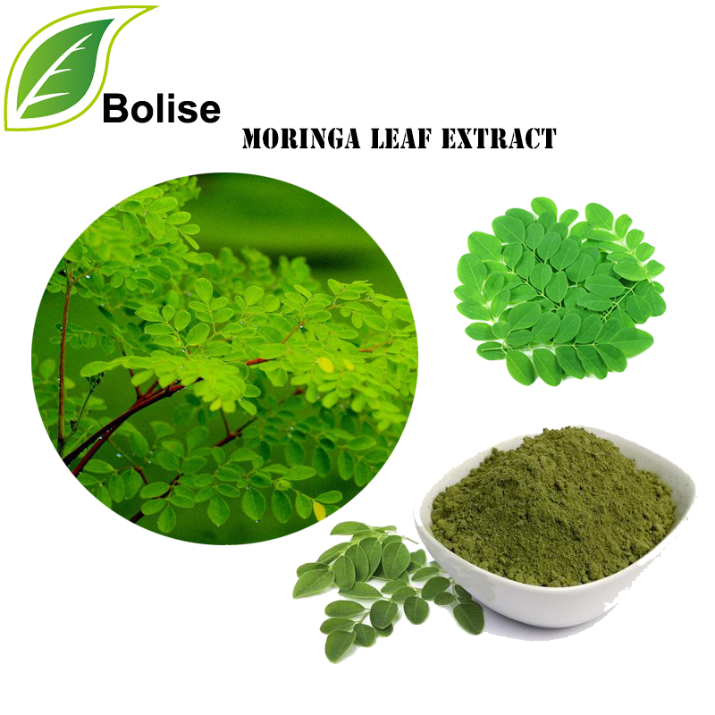 Moringa Ekstresi (Moringa Oleifera Ekstresi)