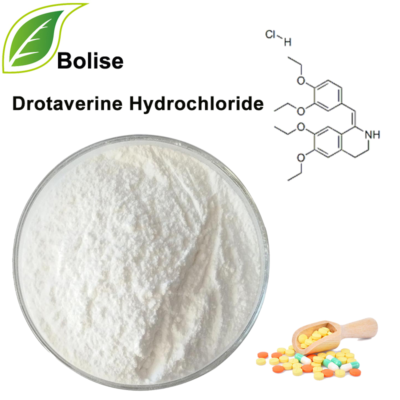 ຢາ Drotaverine Hydrochloride