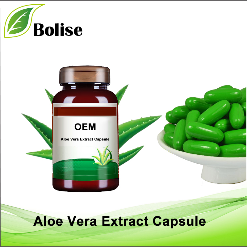 Aloe Vera Extract Capsule for Weight Loss