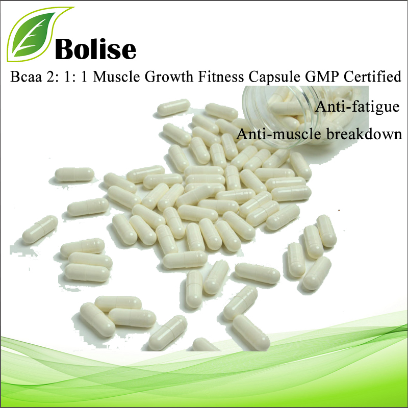 Bcaa 2: 1: 1 Muscle Growth Fitness Capsule Certificado GMP