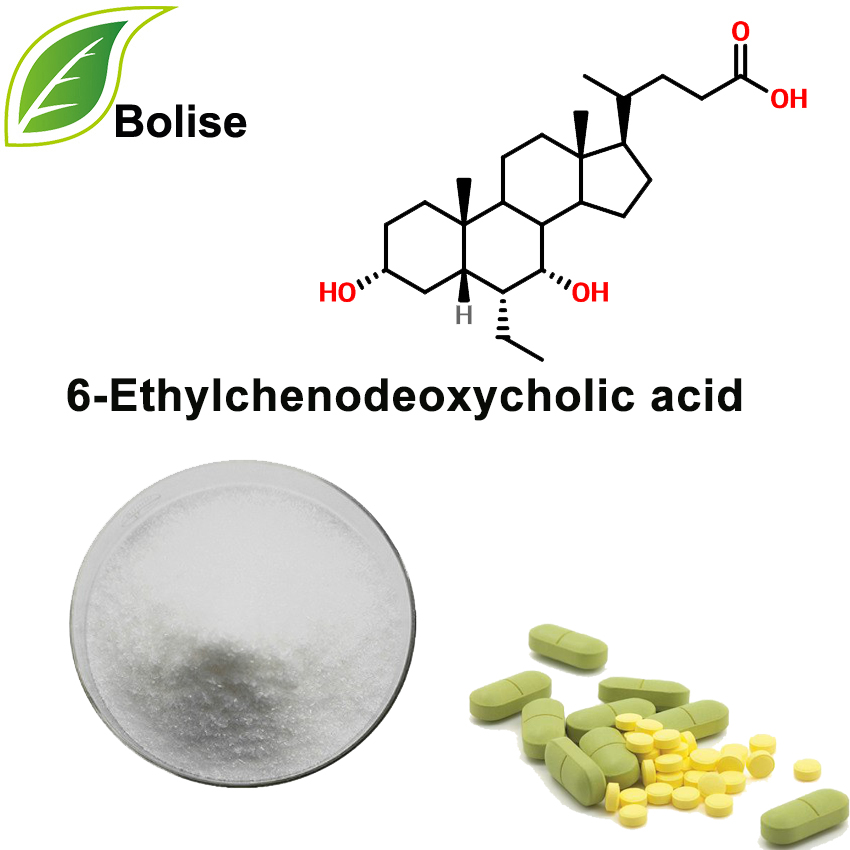 Acido 6-etilchenodesossicolico