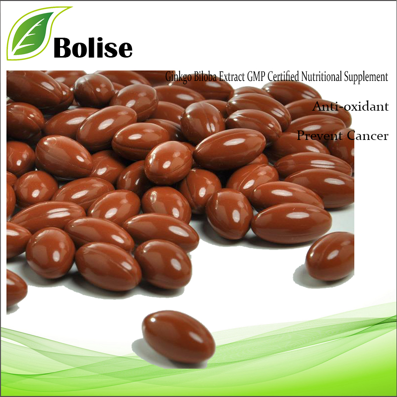 Ginkgo Biloba Extract GMP Certified Nutritional Supplement