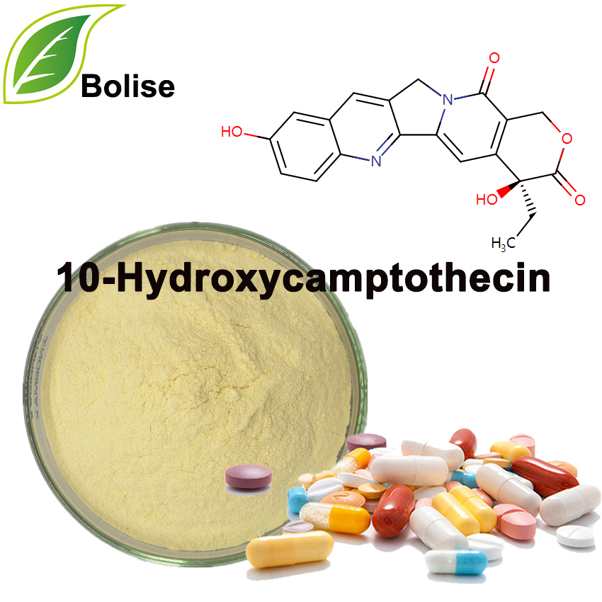 10-хидроксикамптотецин