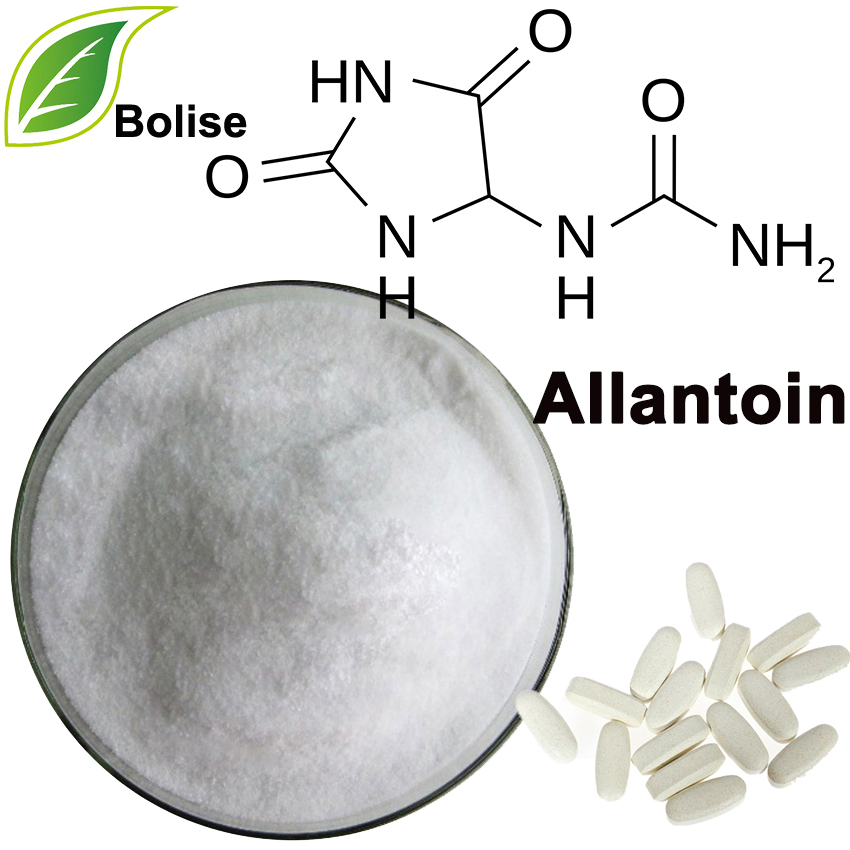 Allantoïna