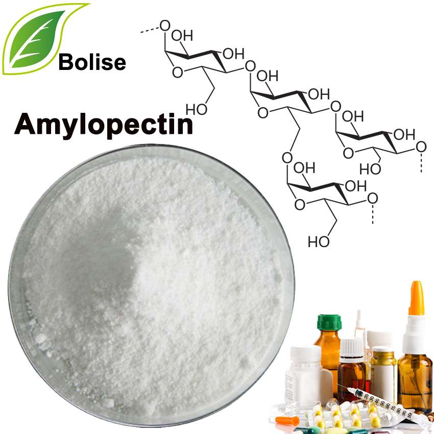 amilopectina