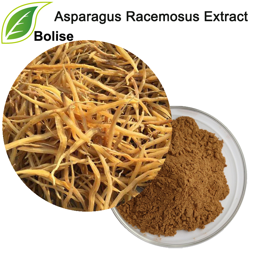 Asparagus Racemosus Extract