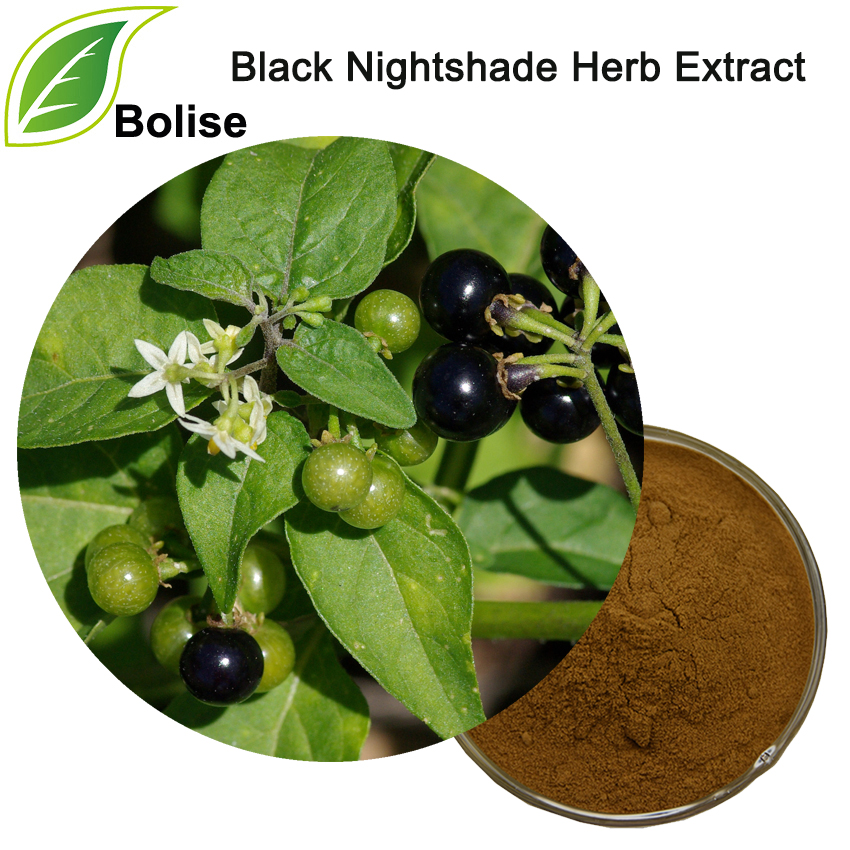 Black Nightshade Herb Extract