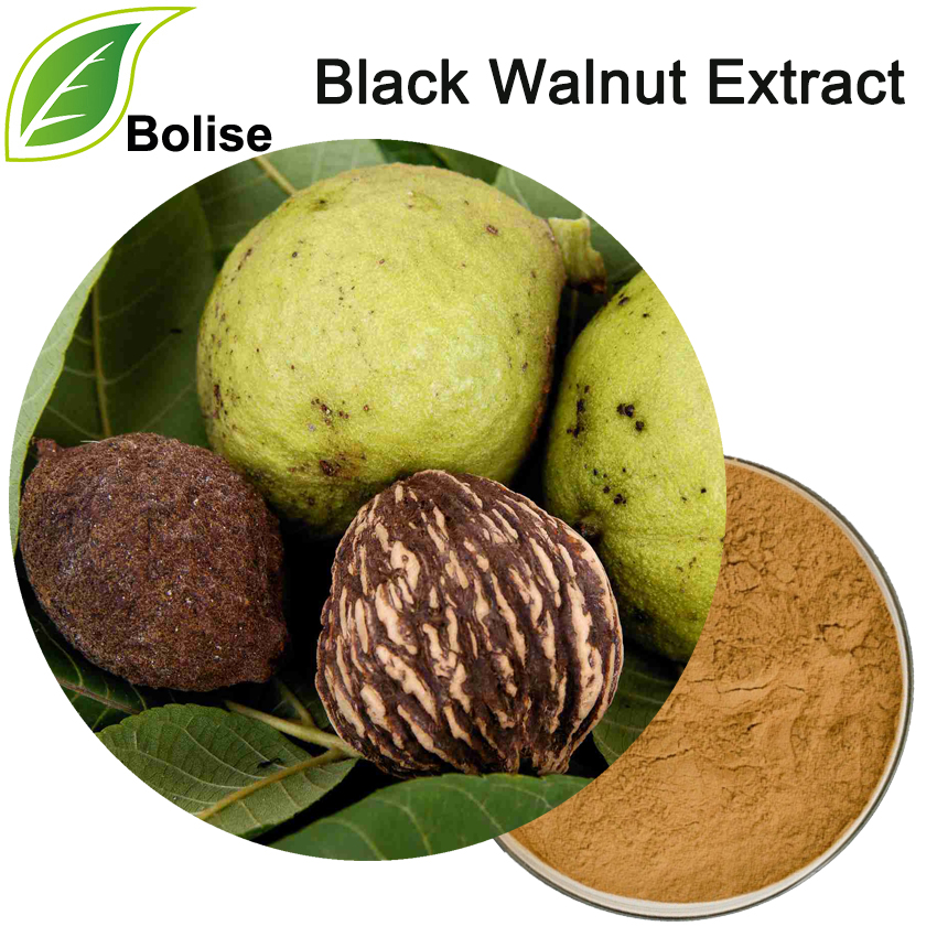 Black Walnut Extract