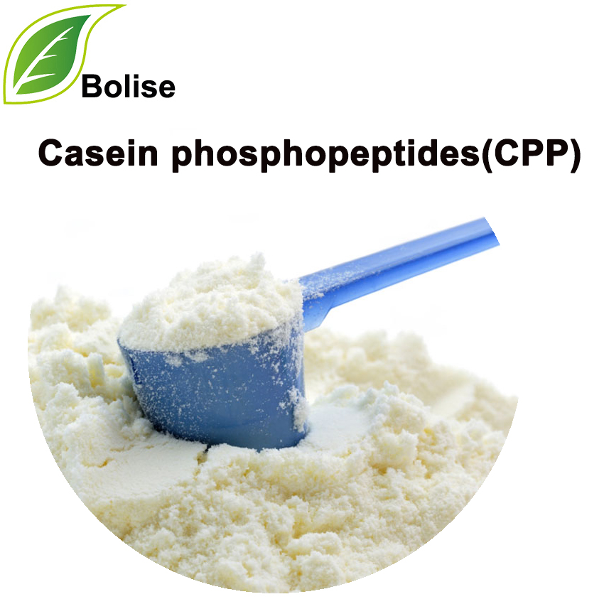 ກໍລະນີ phosphopeptides (CPP)