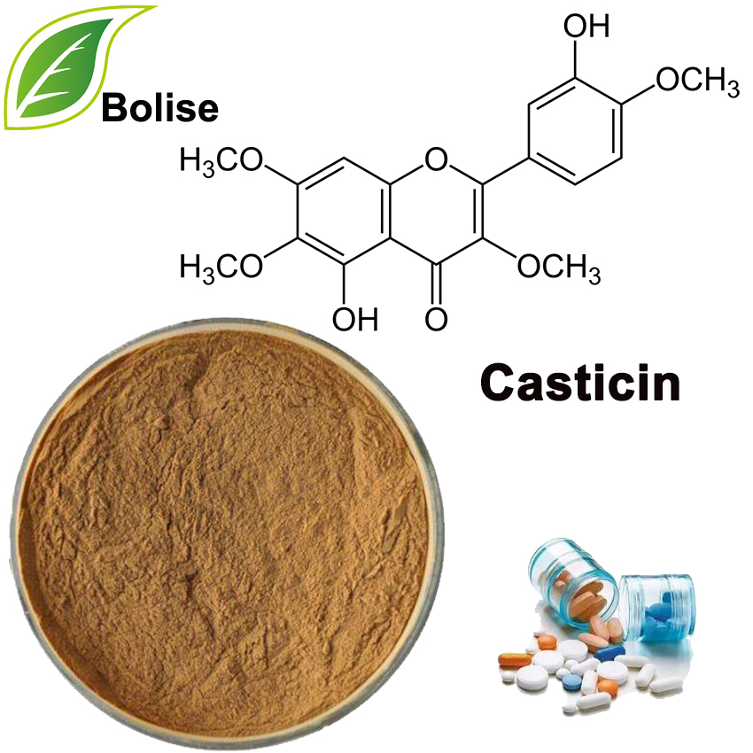 Кастицин
