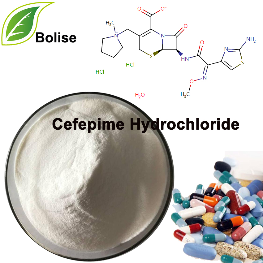 Cefepime Hydrochloride