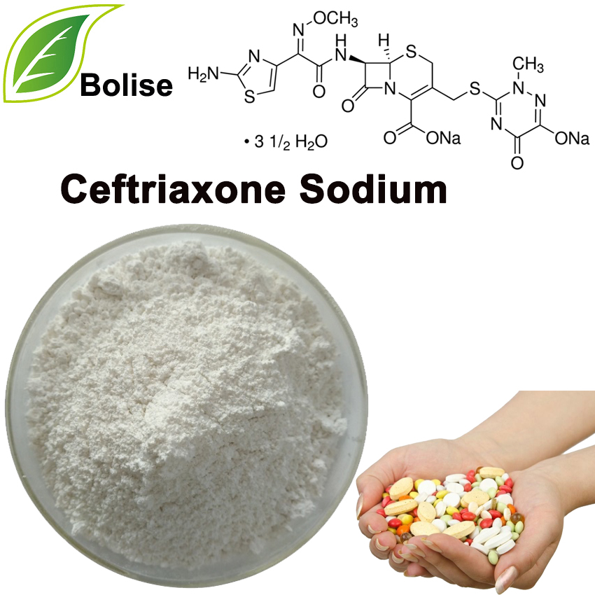 Sodium Ceftriaxone