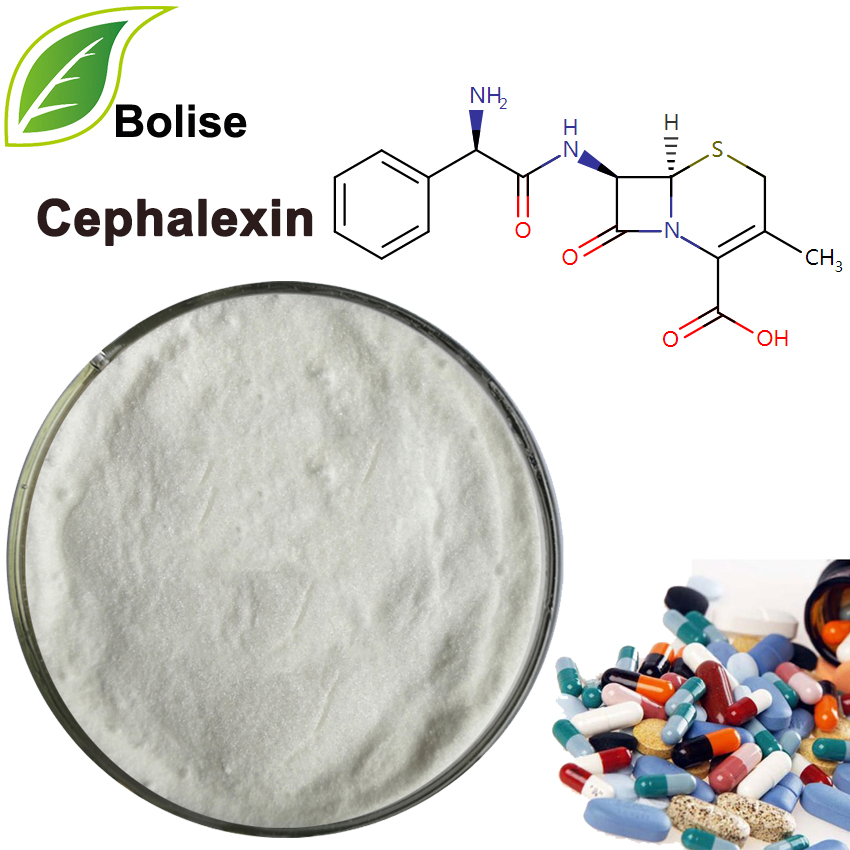 cefalexin