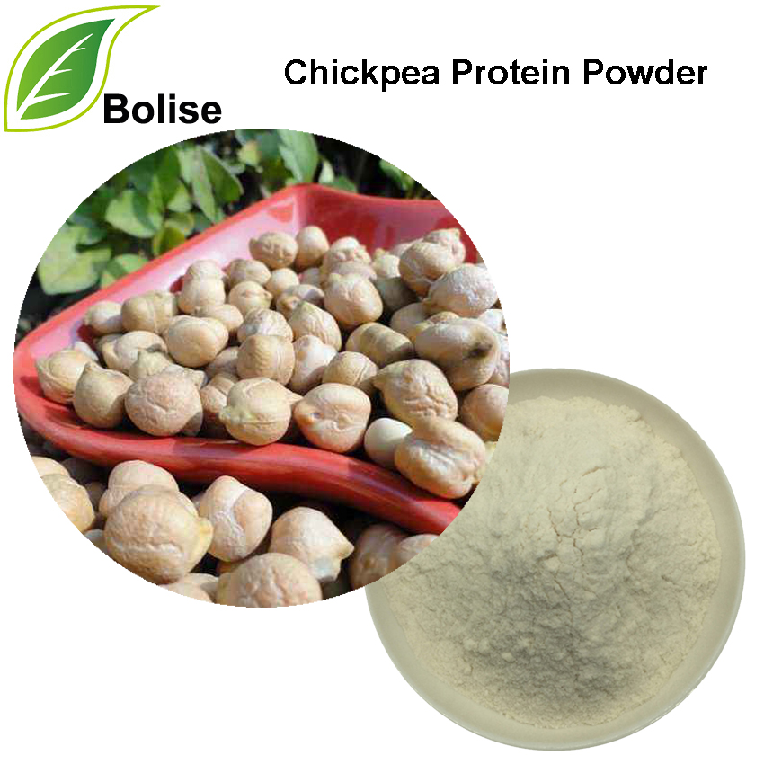 Chickpea Protein Powder