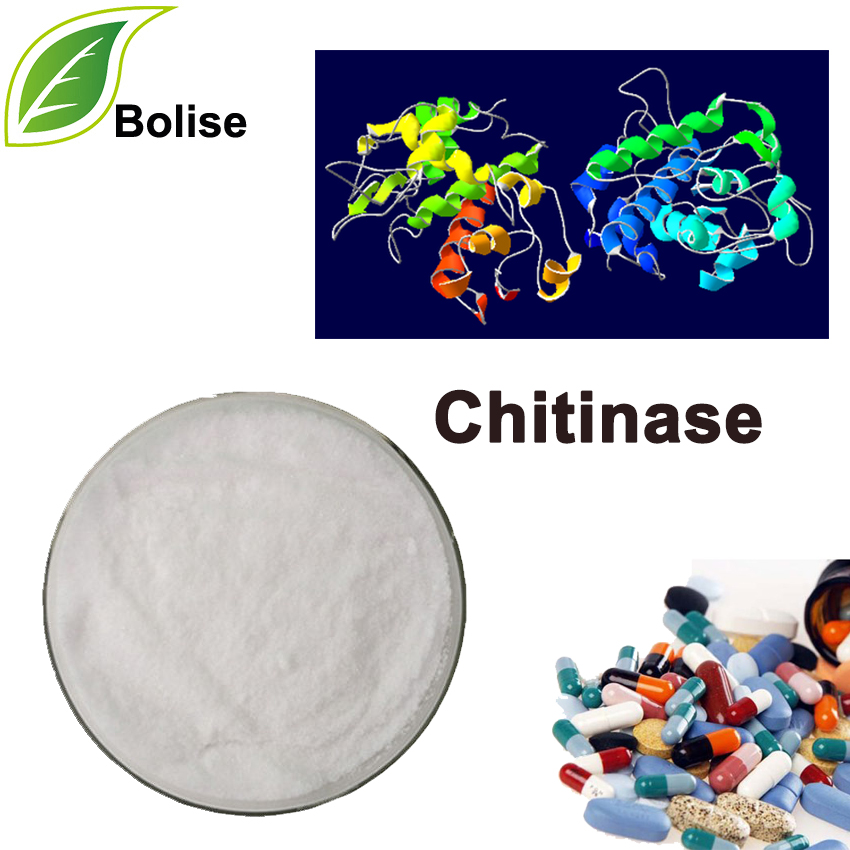 Chitinase