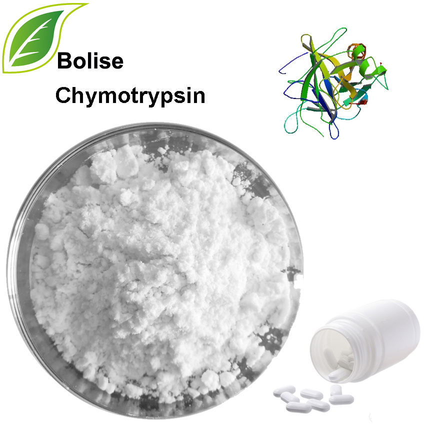 Chymotrypsin