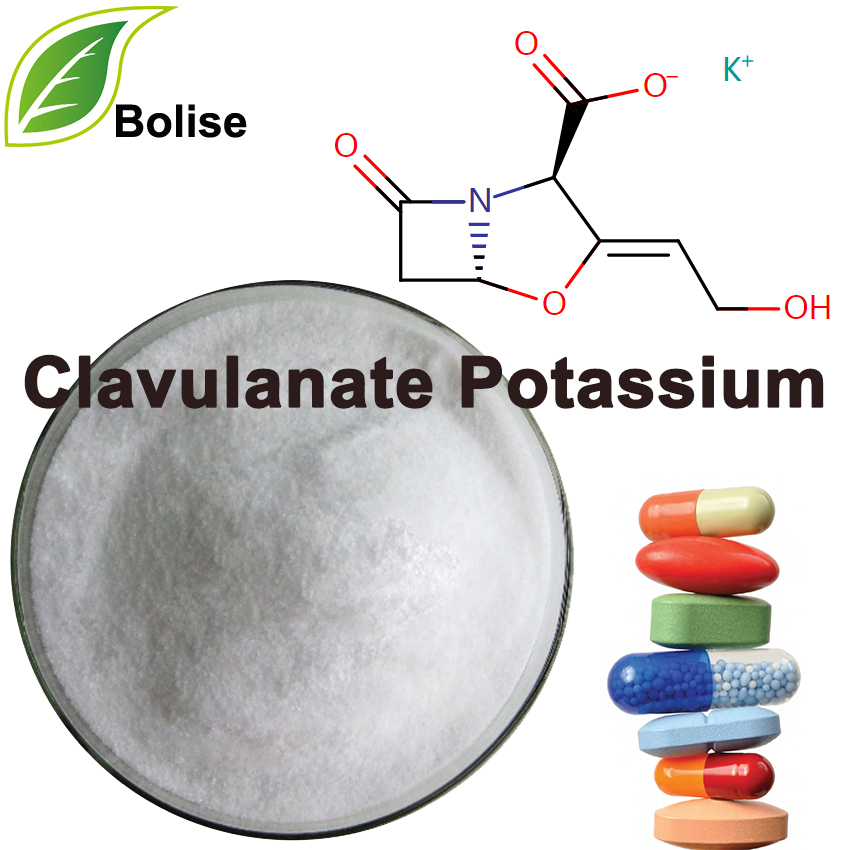 Clavulanate Potassium