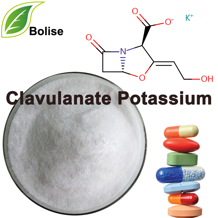 Clavulanate पोटेशियम