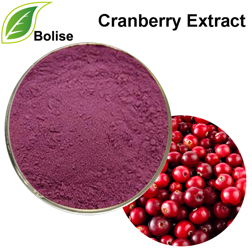 Ekstrak Cranberry