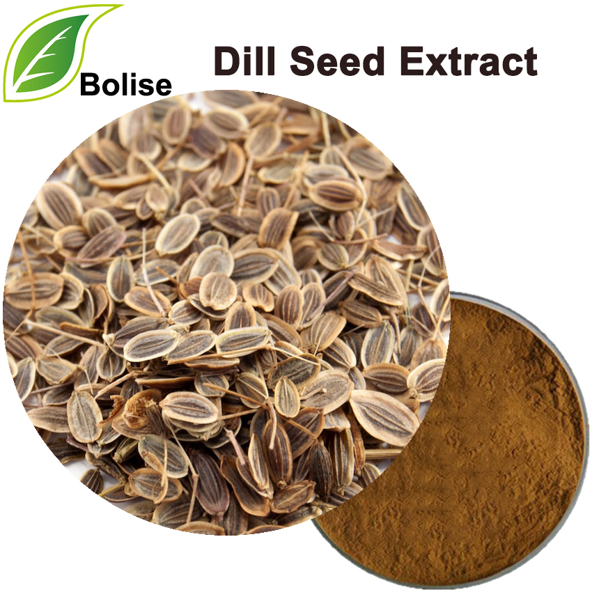 Dill Seed Extract