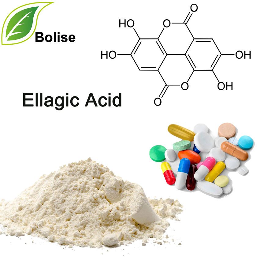 Elaginska kiselina
