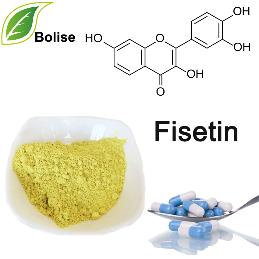 fisetin