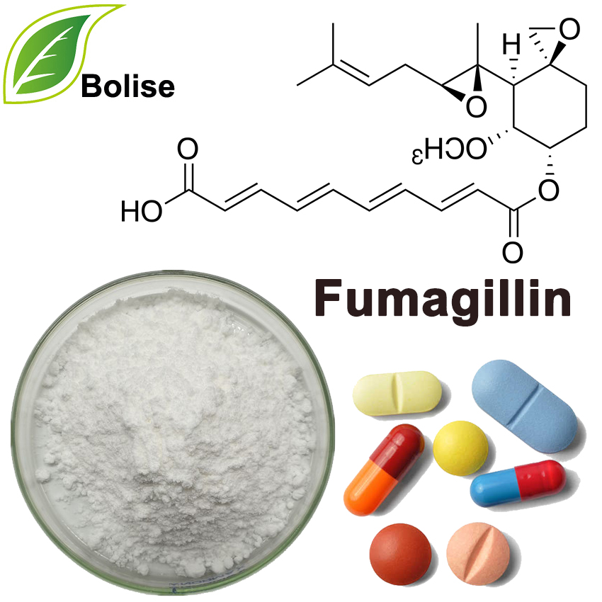 Фумагилин