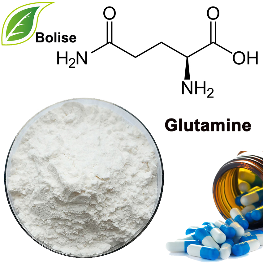 Glutamiin