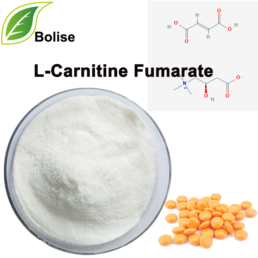 Fumarato de L-Carnitina