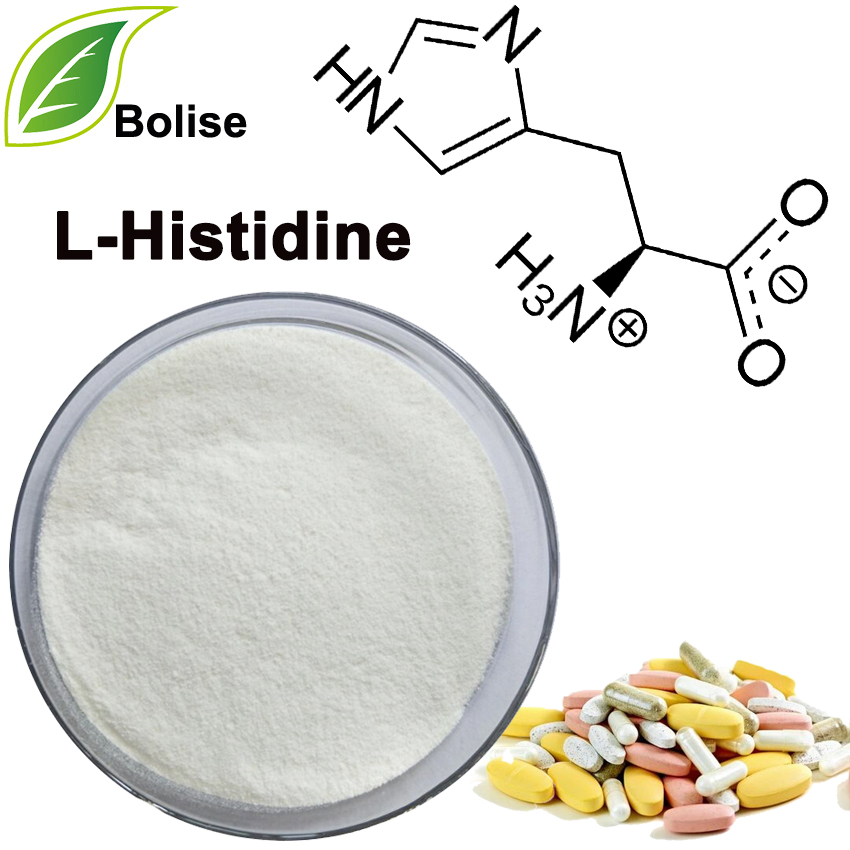 L-histidín