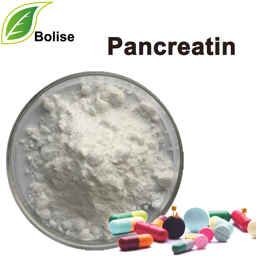 Pancreatin