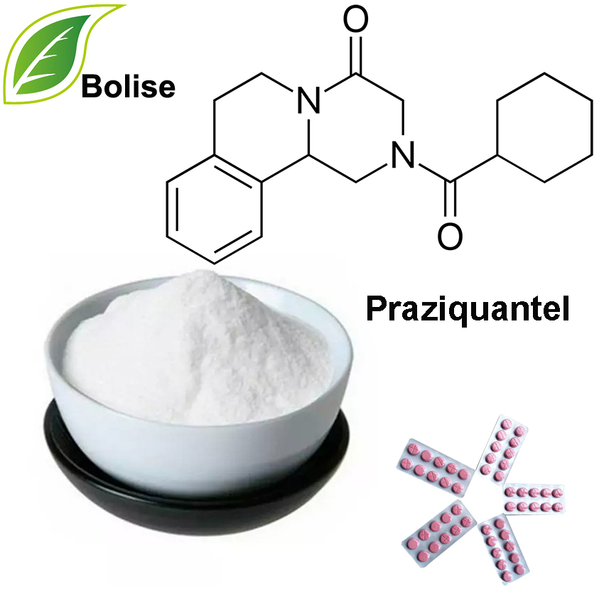 Praziquantel