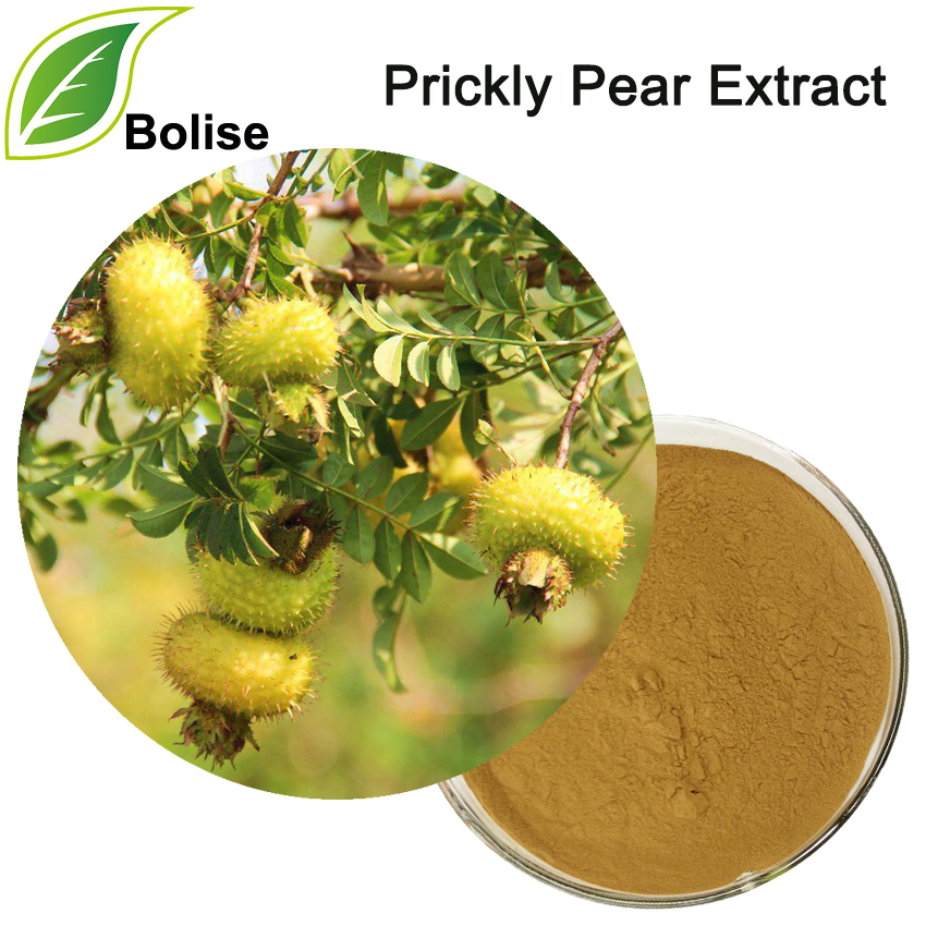Prickly Pear Extract