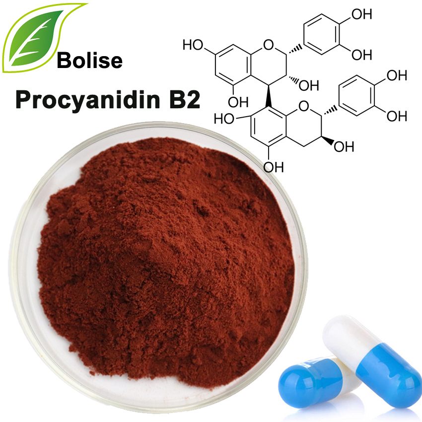 Prosiyanidin B2