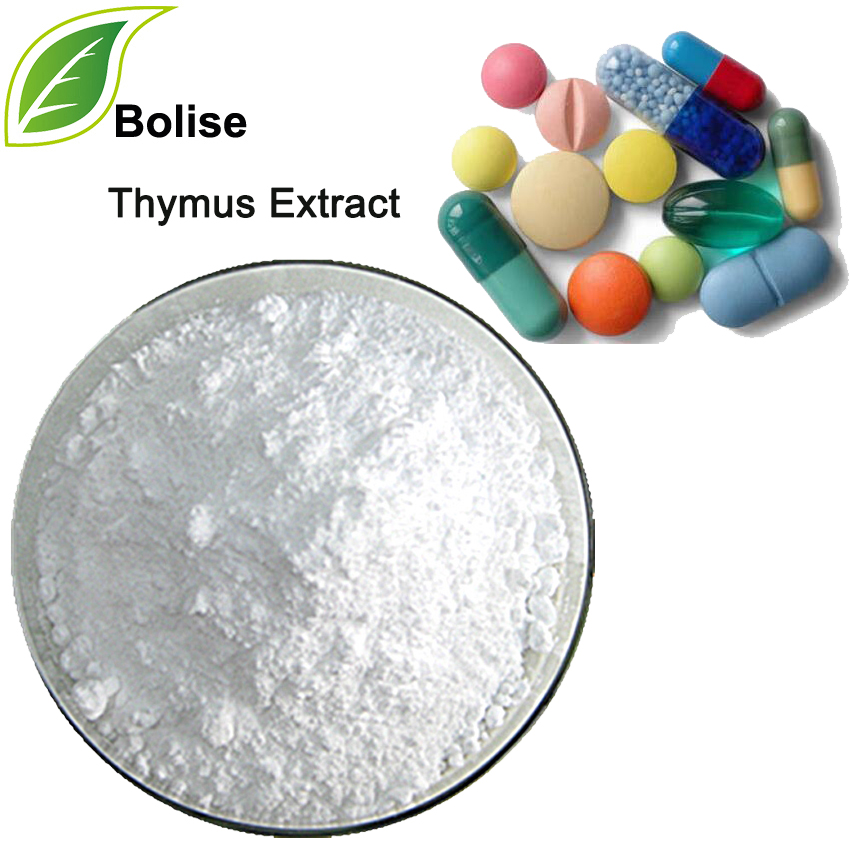 თიმუსის ექსტრაქტი (Thymus Gland Extract)