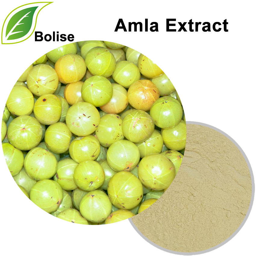 Amla Ekstrakt