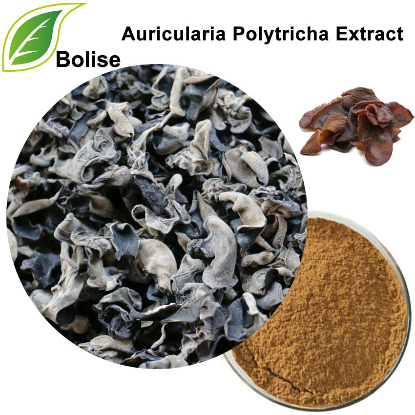 Extractul Auricularia Polytricha