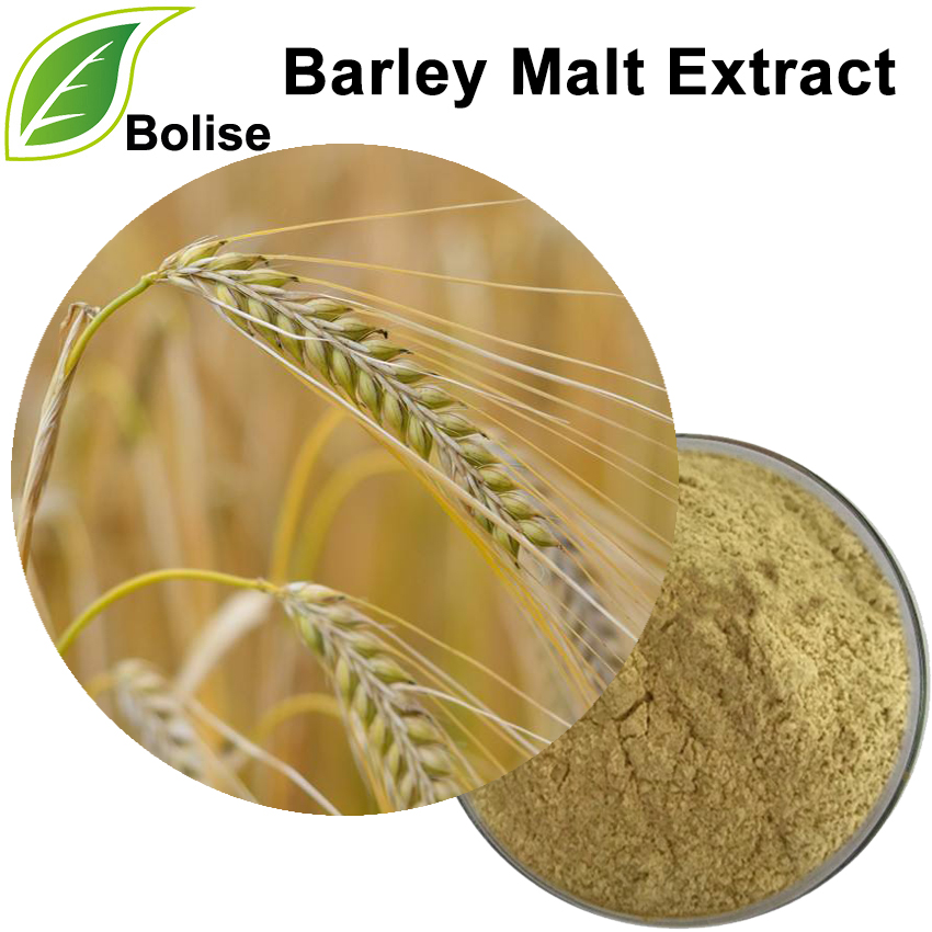 Extract ng Barley Malt