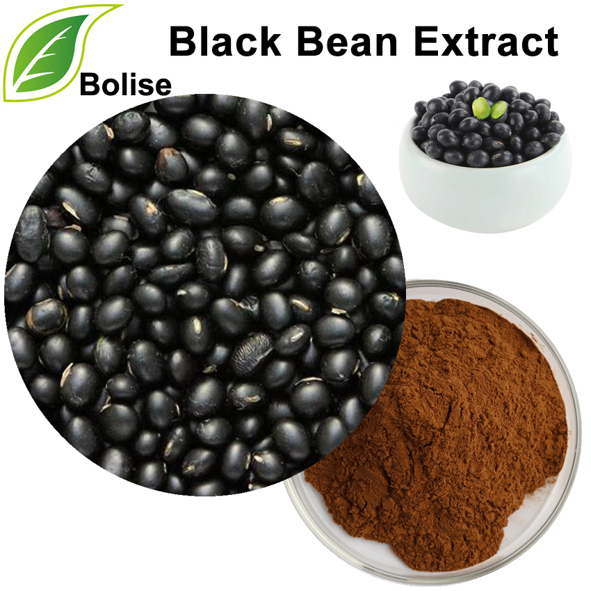 Sliocht Bean Dubh