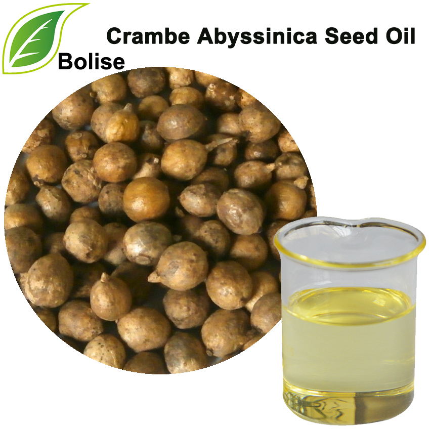 Crambe Abyssinica semensko olje