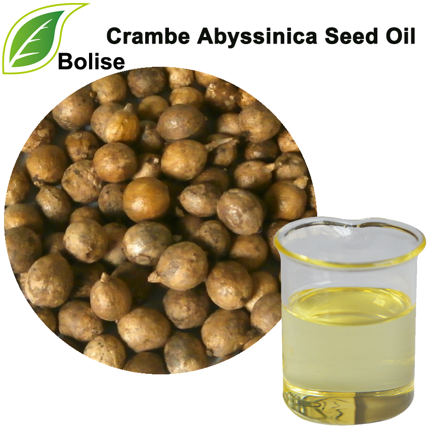 Crambe Abyssinica Seed Oil