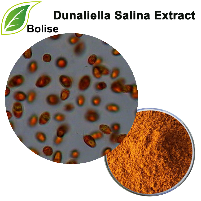 Дуналієла екстракт солі (бета-каротин)