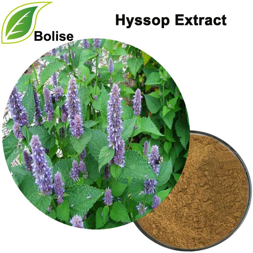 Hyssop निकालें