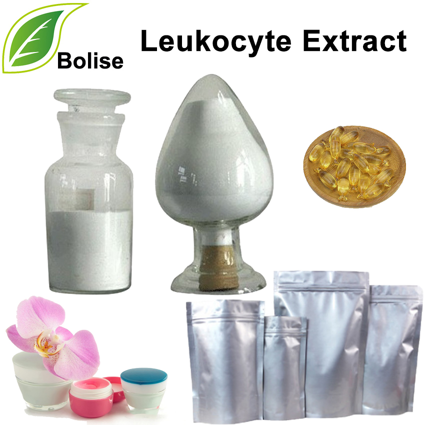 Extract de leucocite