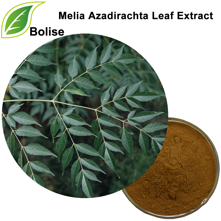 Экстракт листьев Melia Azadirachta