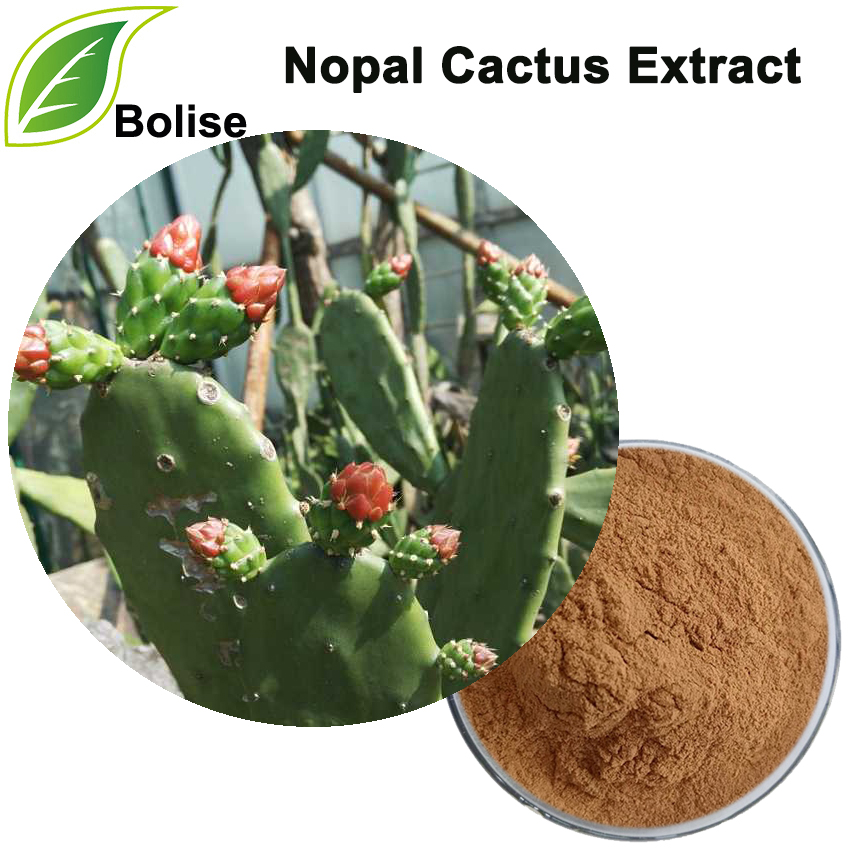 Extrakt z kaktusu Nopal