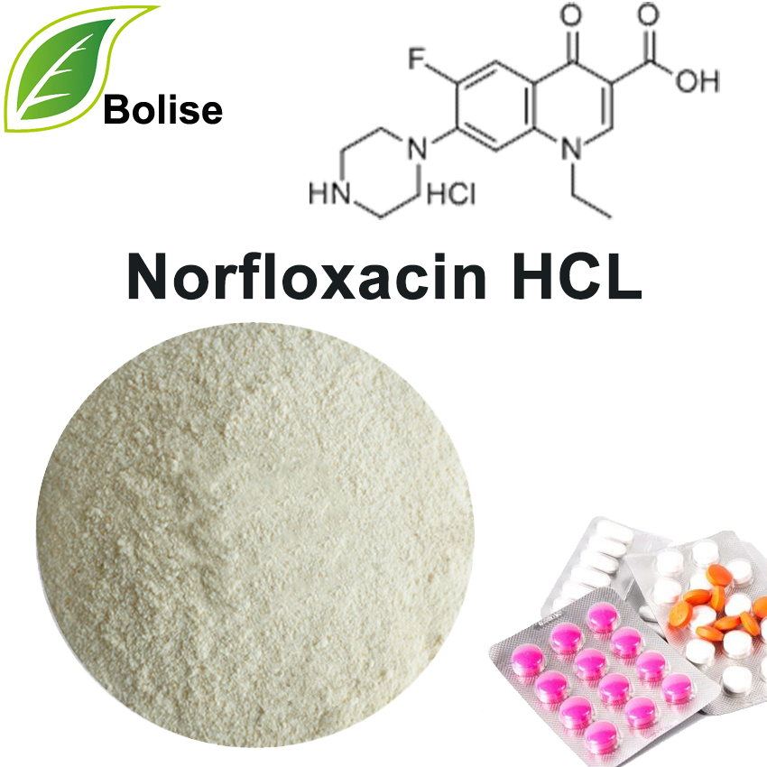 Norfloksasin HCL