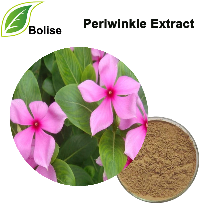 สารสกัดจากหอยขม (Vinca Rosea Extract)