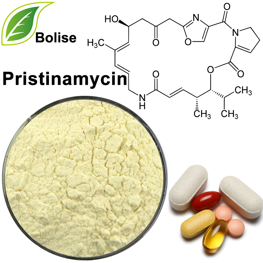 Pristinamycin Pristinamycin
