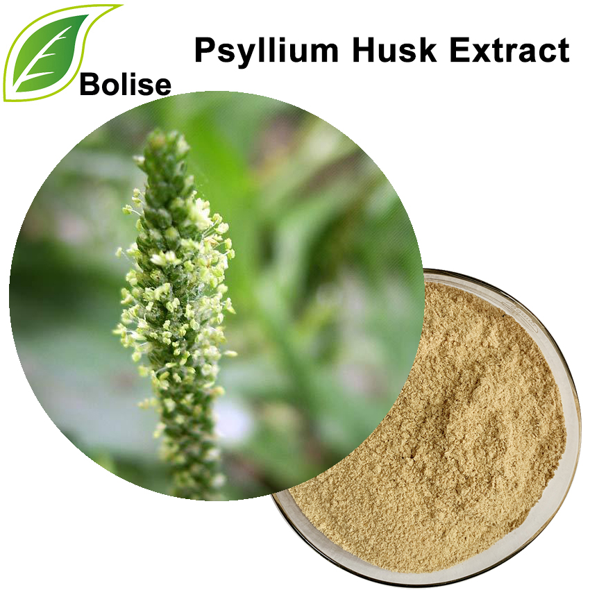 Extract de coji de psyllium